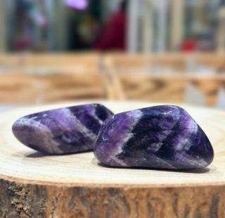 ✨ Včera jsi zjistila, kolik nových předmětů ti přibylo, potkala tu nepříjemnou holku z céčka a zjistila, že tvůj milovaný...